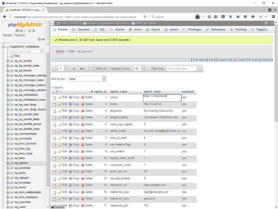 The screenshot shows the wp_options table selected and the developer in the act of changing localhost to the live domain's URL.
